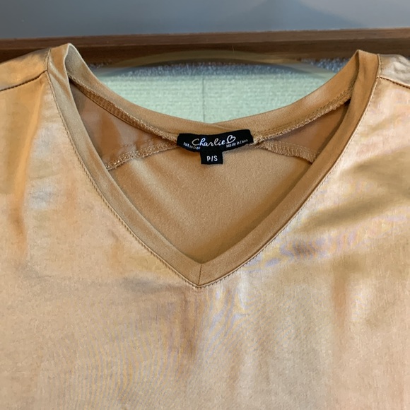 Charlie Long Sleeve Satin V Neck Top - Picture 13 of 16